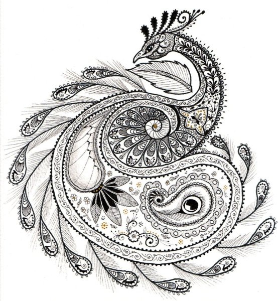 Жар птица Зентангл