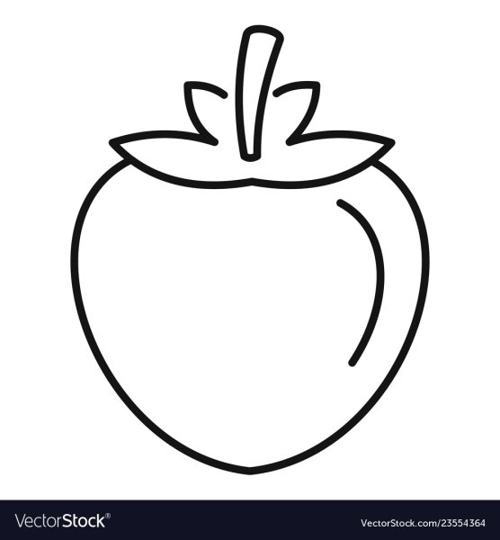 Хурма раскраска