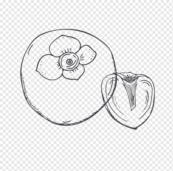 Как нарисовать хурму