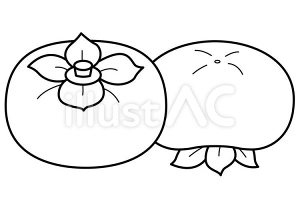 Хурма раскраска для детей