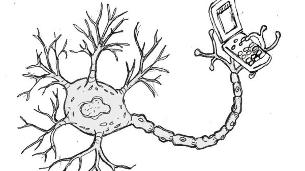 Строение нейрона рисунок