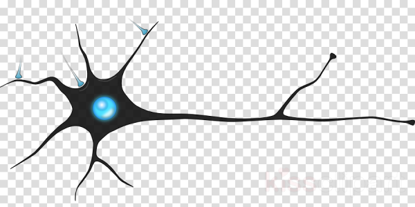 Нервные клетки на белом фоне