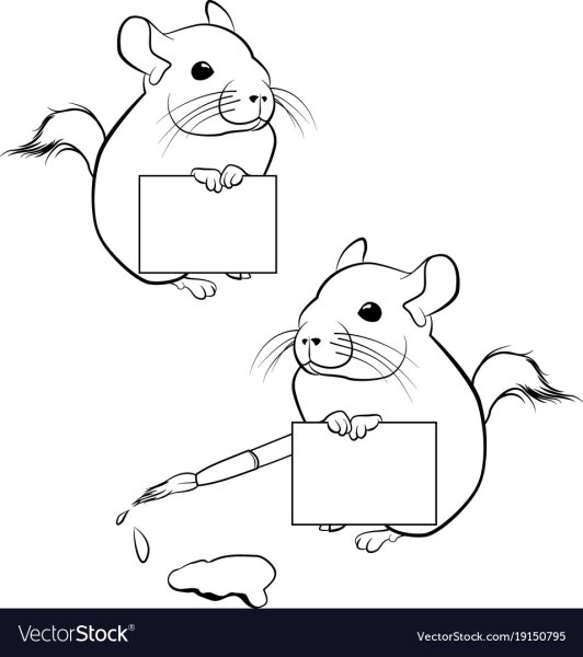 Шиншилла контур