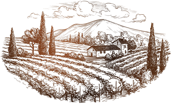 Тоскана Графика гравюра поля вино