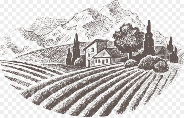 Гравюры Италии Тоскана