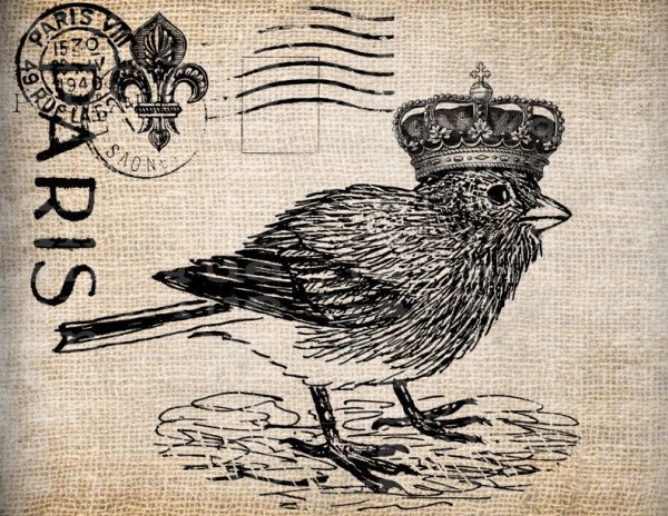 Птички Винтажные монохром