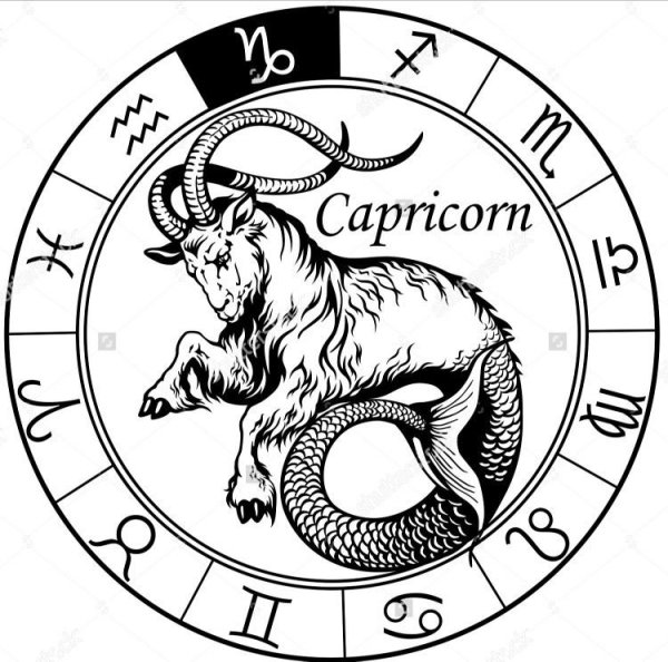 Знаки зодиака. Козерог