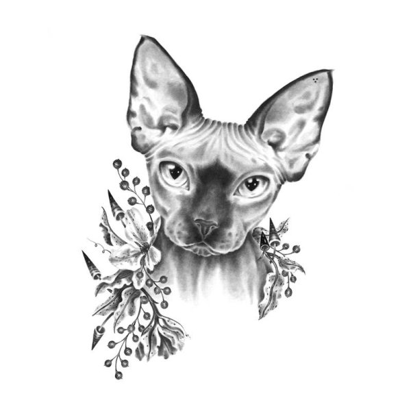 Сфинкс кошка тату эскиз