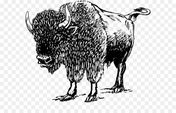 Американский белый Бизон