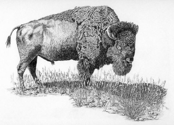 Стилизованный ЗУБР