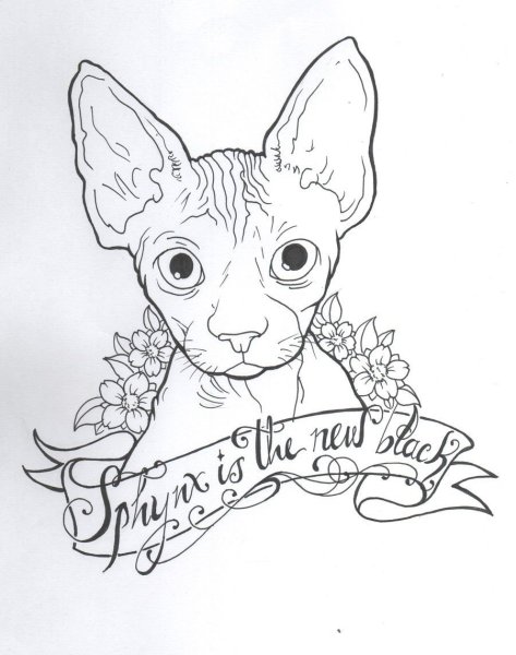 Эскиз тату сфинкс кот