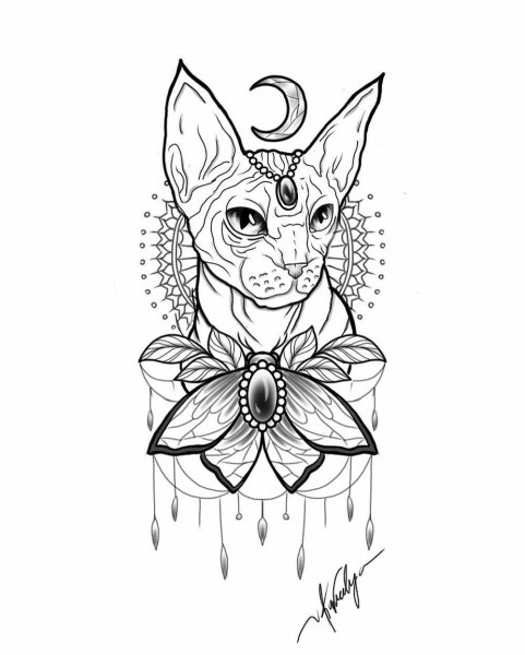 Сфинкс кошка тату эскиз