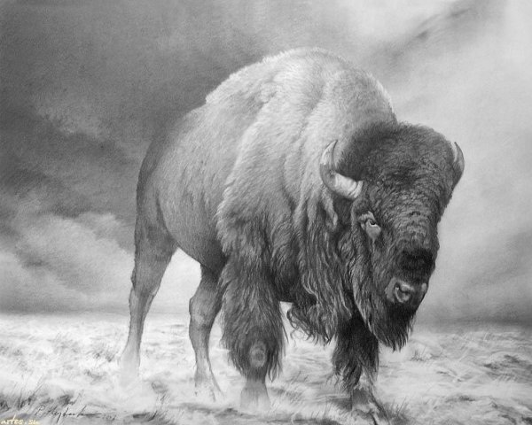 Гейдек Петр