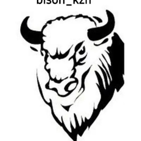 Логотип зубра голова