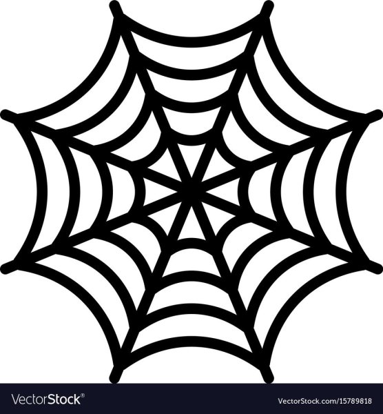 Черная паутина на белом фоне