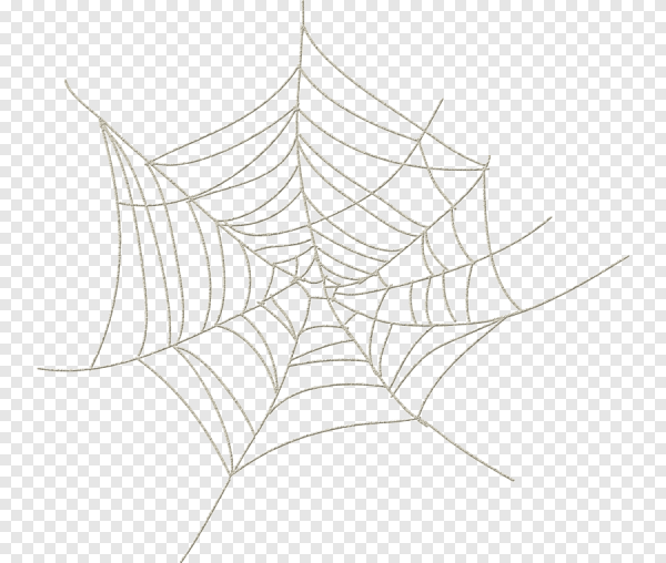 Паутина вид сверху