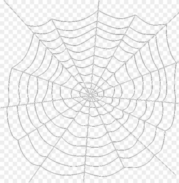 Паутина на прозрачном