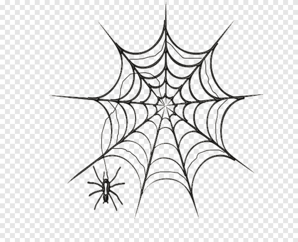 Паутина арт карандашом