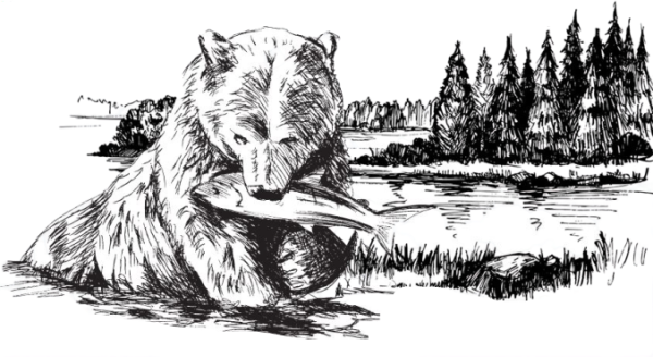 Полуостров Камчатка карта вектор