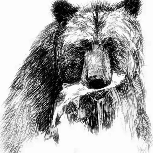 Медведь для выжигания