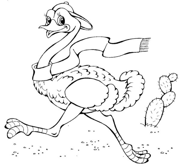 Африканский страус раскраска