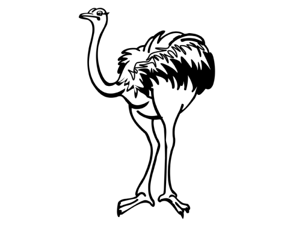 Страус раскраска
