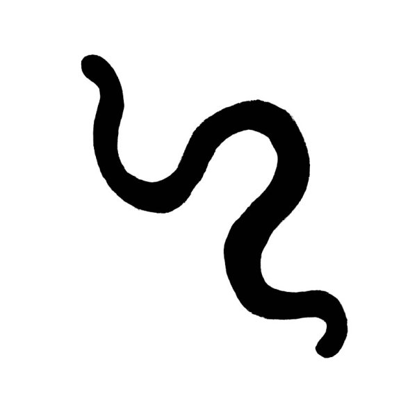 Дождевой червь черно белый