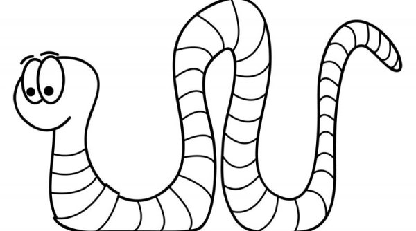 Червь раскраска