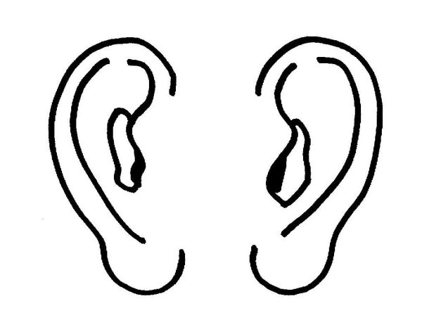 Ухо черно белое