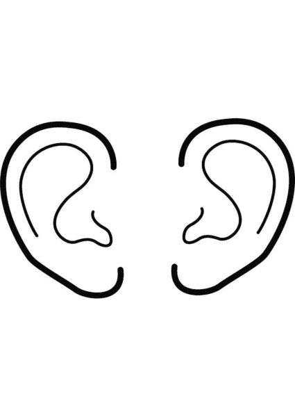 Ухо раскраска