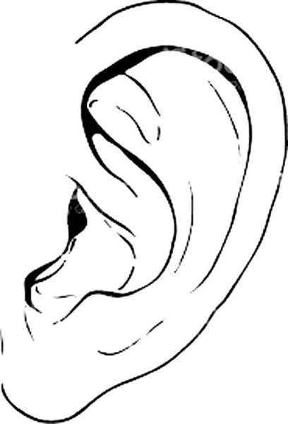 Ухо раскраска