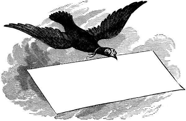 Птица с письмом