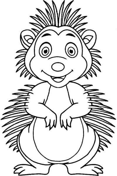 Дикобраз раскраска