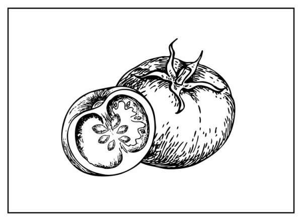 Томат черно белый