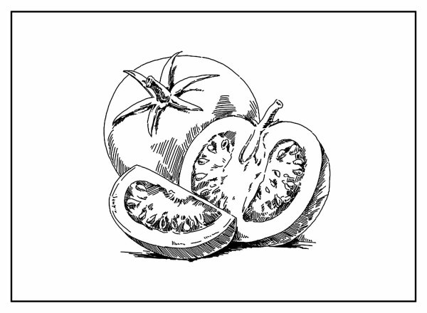 Помидор раскраска для детей