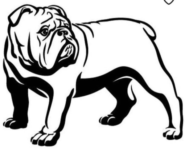 Бульдог вектор