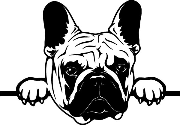 Французский бульдог вектор чб