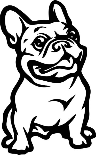 Французский бульдог