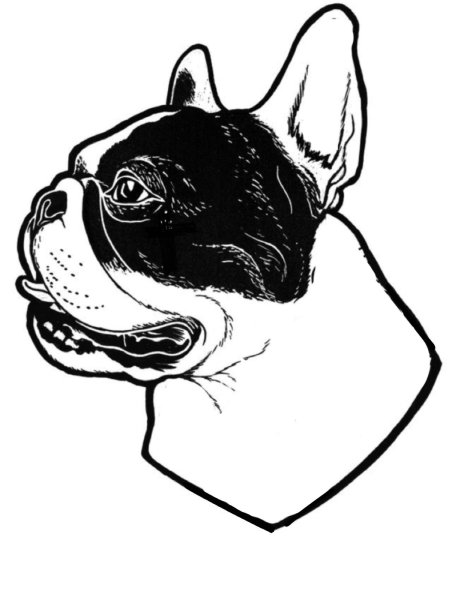 Трафарет французского бульдога