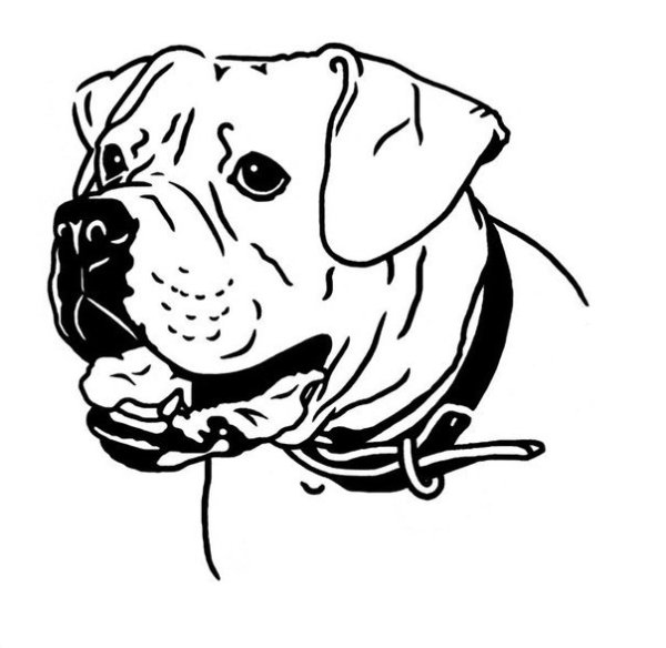 Американский бульдог вектор