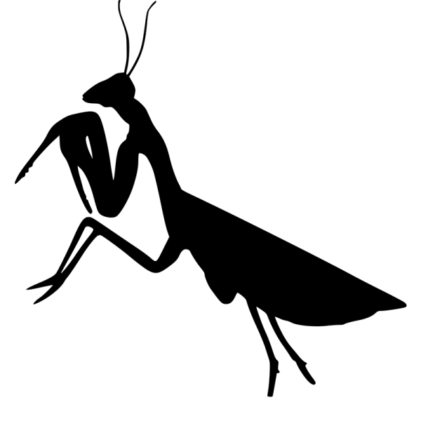 Богомол Графика