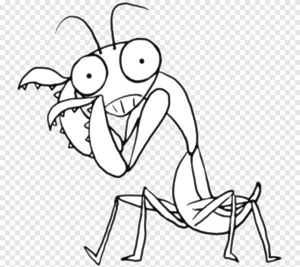 Анатомия насекомых для рисования