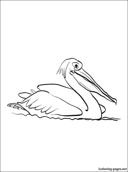 Пеликан в геральдике