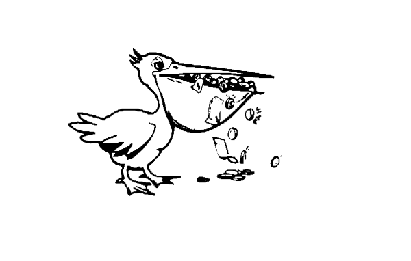 Пеликан раскраска для детей