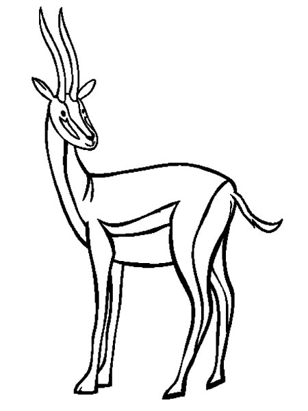 Иллюстрация голова антилопы