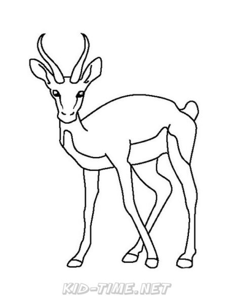 Сайгак силуэт