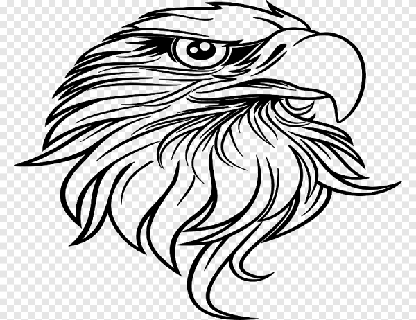 "Белоголовый Орлан"