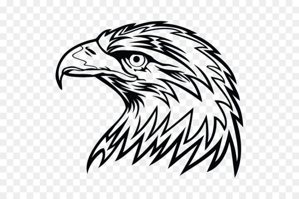 Профиль орла рисунок