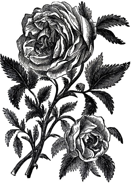 Гравюра Винтаж