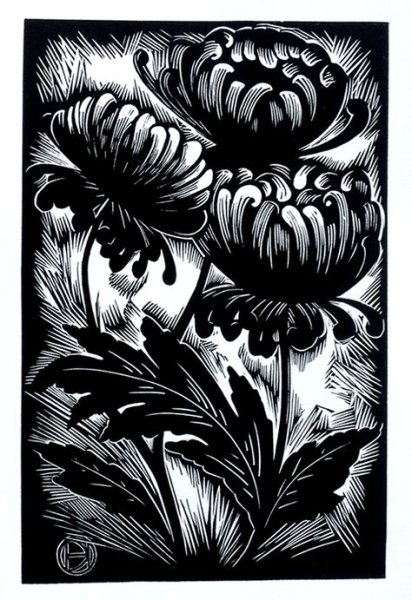 Линогравюра Хризантема